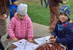 IMG_20251001_160931