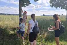 IMG-20260623-WA0018