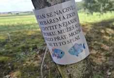 IMG-20260623-WA0019