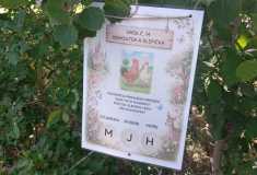 IMG-20260623-WA0027