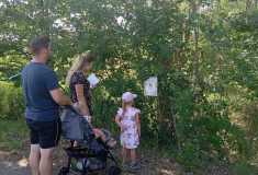 IMG-20260623-WA0029