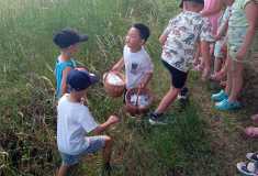 IMG-20260623-WA0031