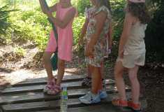 IMG-20260623-WA0036