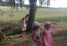 IMG-20260623-WA0041