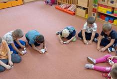 IMG_20261005_101248