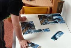 IMG_20261006_063110