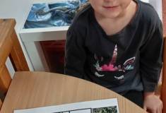 IMG_20261006_065941
