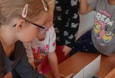 IMG_20261008_094140