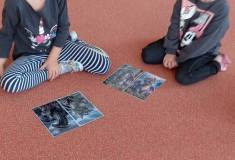 IMG_20261008_095013