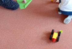 IMG_20250311_084528