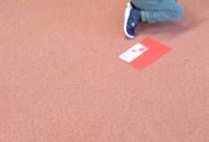 IMG_20250313_095105