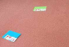 IMG_20250313_095215