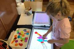 Pravěk - dinosauři