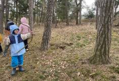 74f7ce98-0d4d-4861-a364-ae45299698db