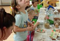 IMG_20251203_162830