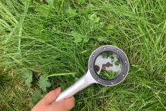 Překvapení v trávě