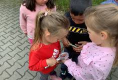 IMG_9097