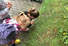 IMG_9126