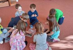 IMG_20250227_095012
