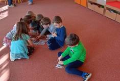 IMG_20250227_095046