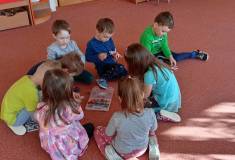 IMG_20250227_095110