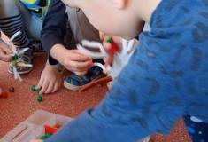 IMG_20250227_095247