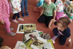 IMG_20250512_095211