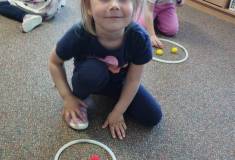 IMG_20250512_095450