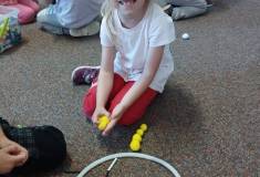 IMG_20250512_095521