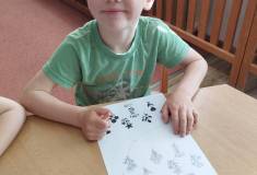 IMG_20250512_095553
