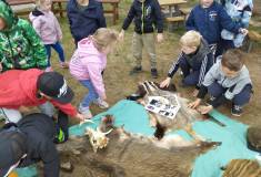 IMG_20260521_094801