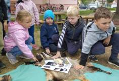 IMG_20260521_094828