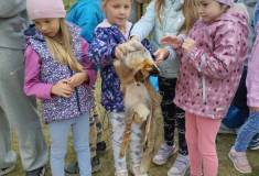 IMG_20260521_094915