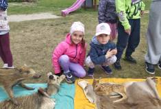 IMG_20260521_094933