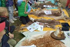 IMG_20260521_095002