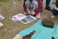 IMG_20260521_095050