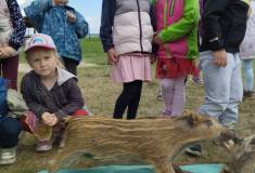 IMG_20260521_095057
