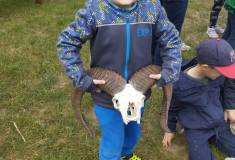 IMG_20260521_095139