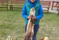 IMG_20260521_095359