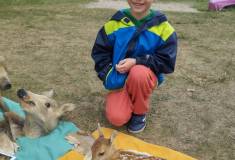 IMG_20260521_095422