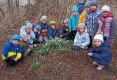 IMG_20220315_110323