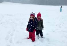 319708774_464820215803230_9057000137060394971_n