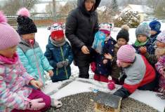 1_323542968_921332869034448_8715472382323659791_n