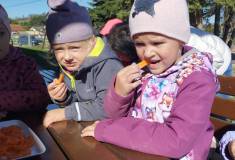 IMG_20260923_104606