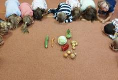 IMG_20250922_095302