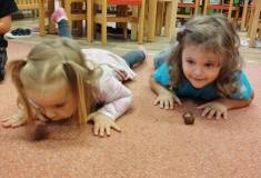 IMG_20250925_085322