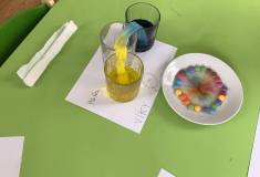 IMG_0559