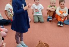 IMG_20251008_093658