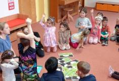 IMG_20250326_095251