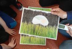 IMG_20250326_100122